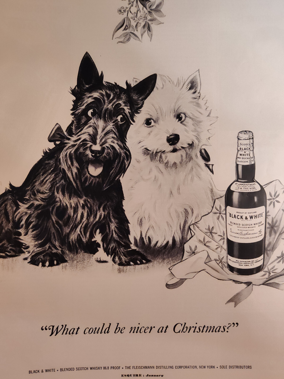 1951 Esquire Ad Advertisement Black and White Scotch Whisky Dogs Terriers