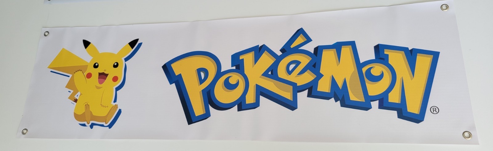 Pokemon vinyl Banner 14