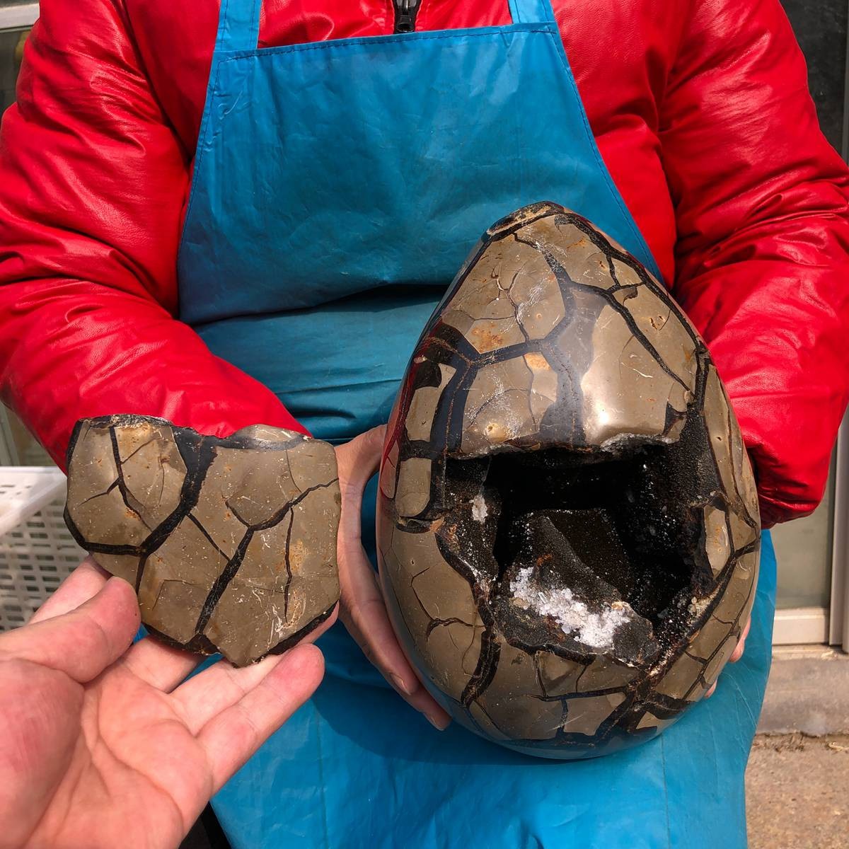 18.5LB Natural Turtle Back Stone Hole Shape Dragon Crystal Crack Reiki Healing