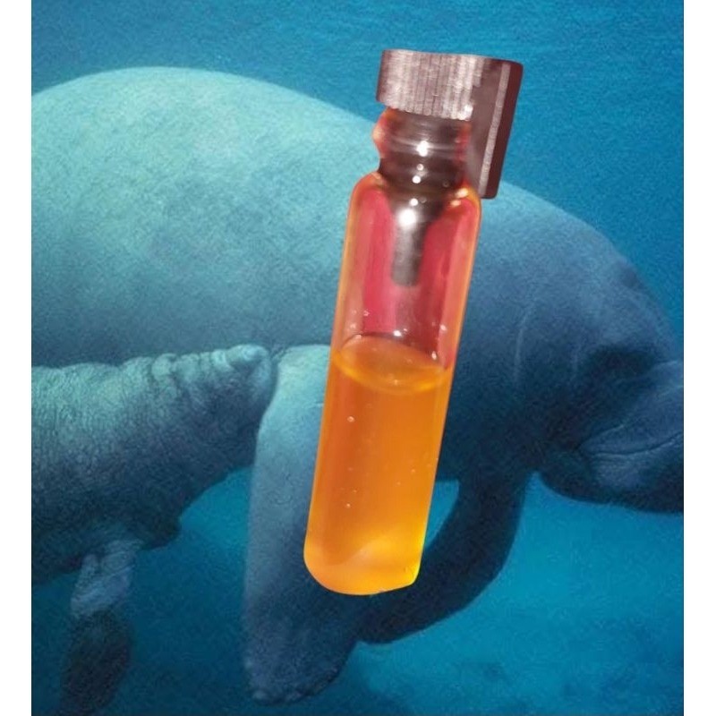 Rare Dugong Tears Love Charm Thai Malay Amulet for Attraction Wealth Prosperity