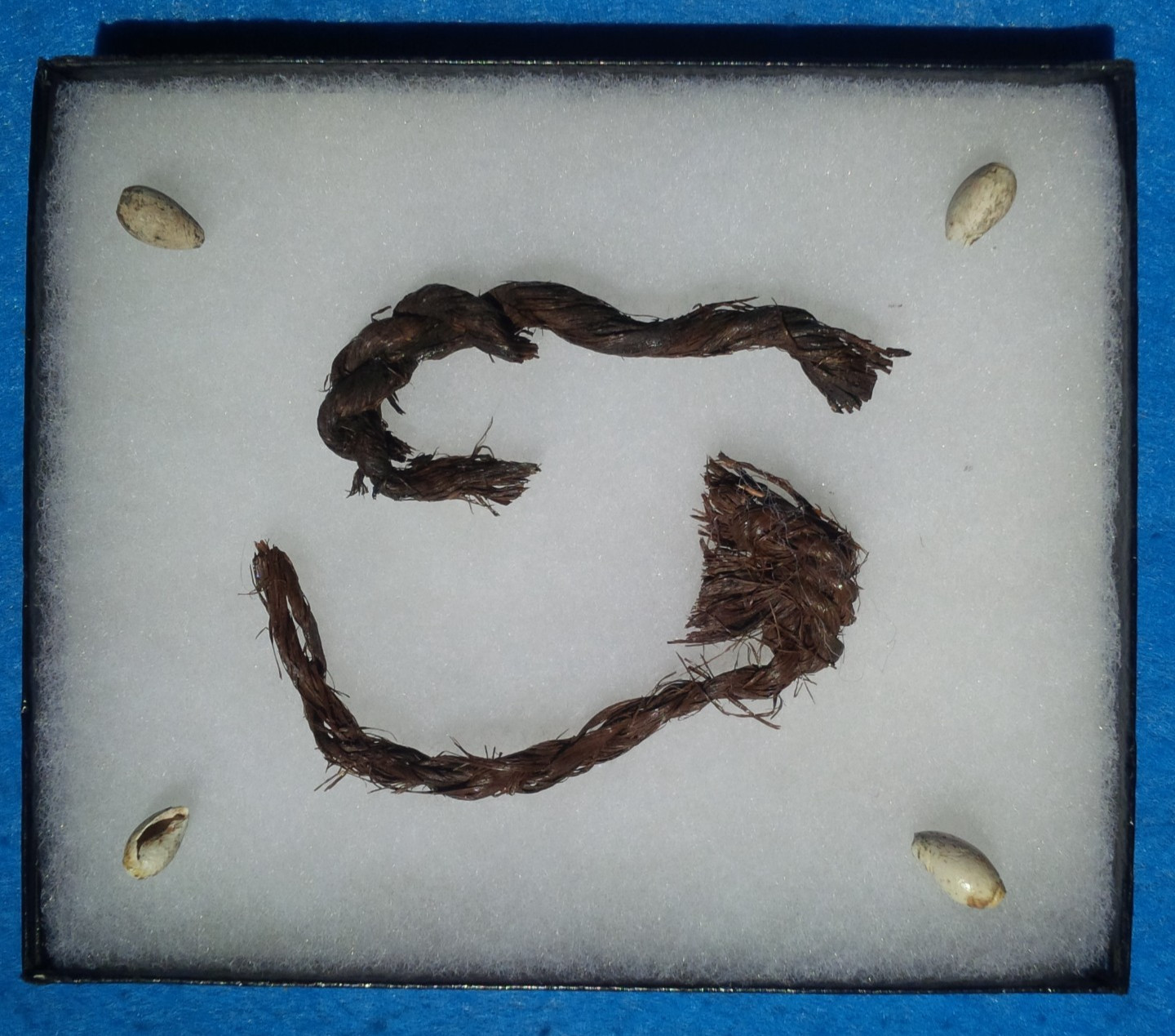 2 CORDAGE & 4 BEADS COUGAR MOUNTAIN CAVE PERISHABLE ARTIFACTS OREGON ARROWHEADS