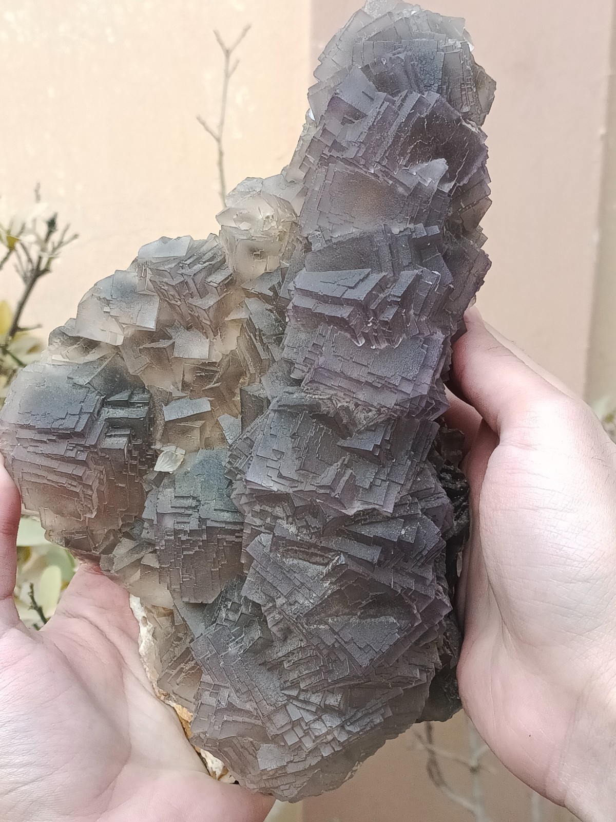 2.3kg Amazing Natural Cubic Fluorite Crystal Mineral Specimen Collector Piece