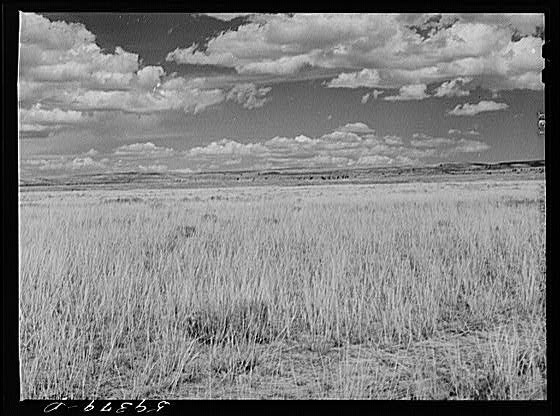 Photo:Laramie Wyoming 1930s Grazing Land Grass Prairie Landscape