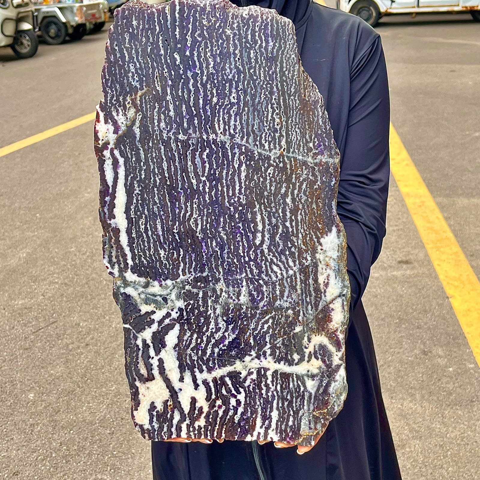 8.13LB   High quality zebra stone quartz hand sliced specimen healing