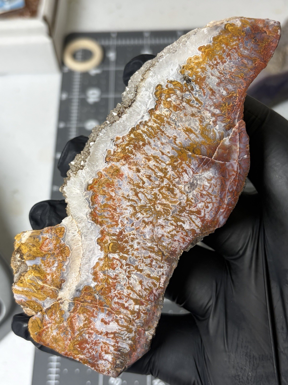 Rare Wingate Plume Agate Polished Specimen Quartz Death Valley Old Stock