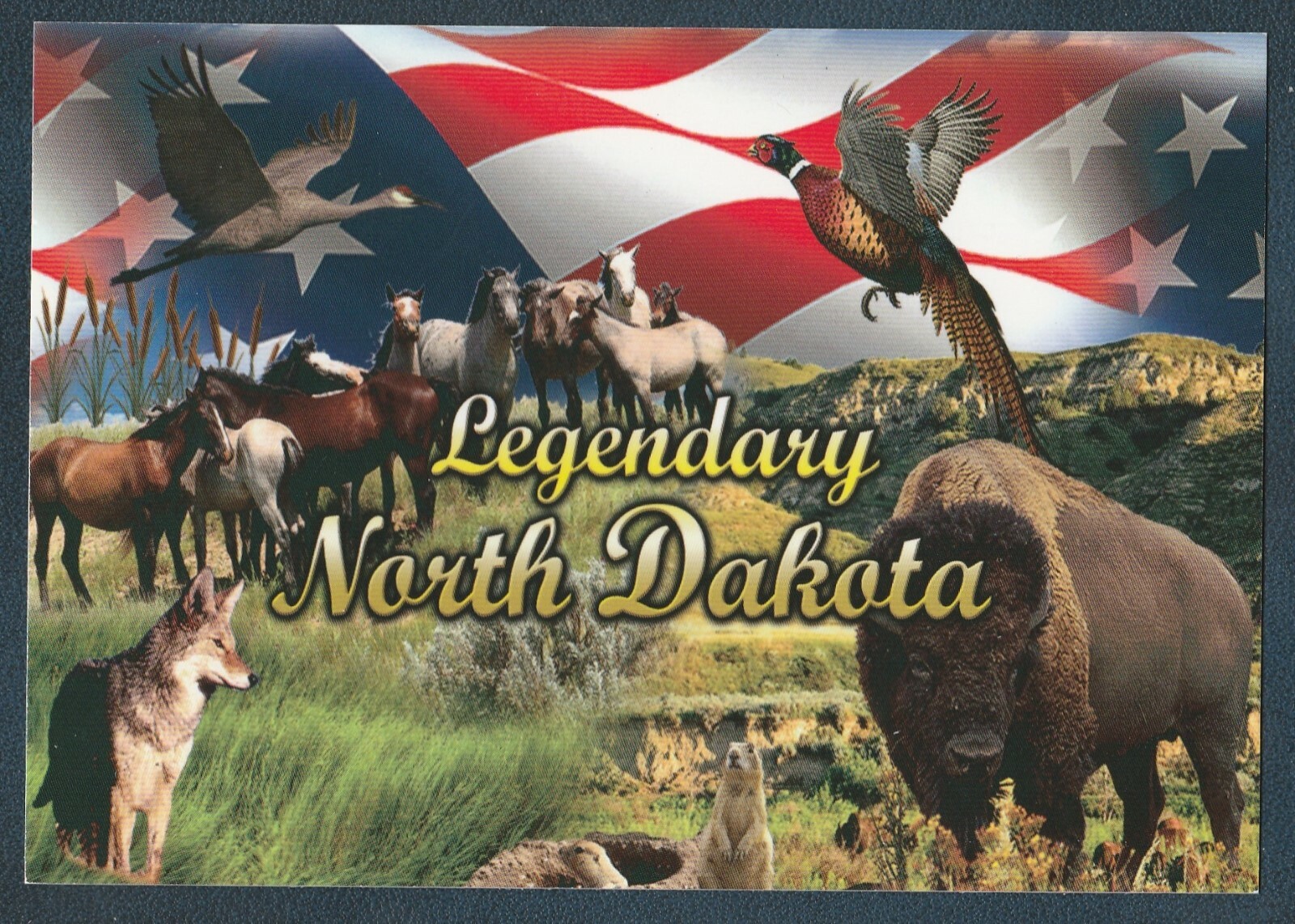 LEGENDARY NORTH DAKOTA WILD ANIMALS MODERN POSTCARD