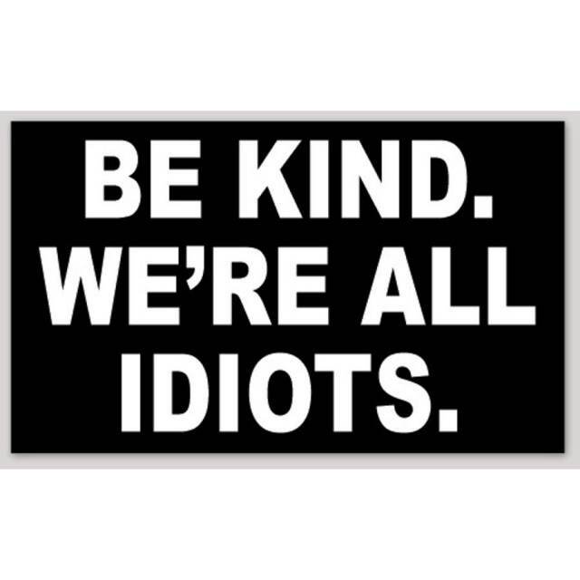 Be Kind We're All Idiots 3x5 Vinyl Sticker Bumper Decal