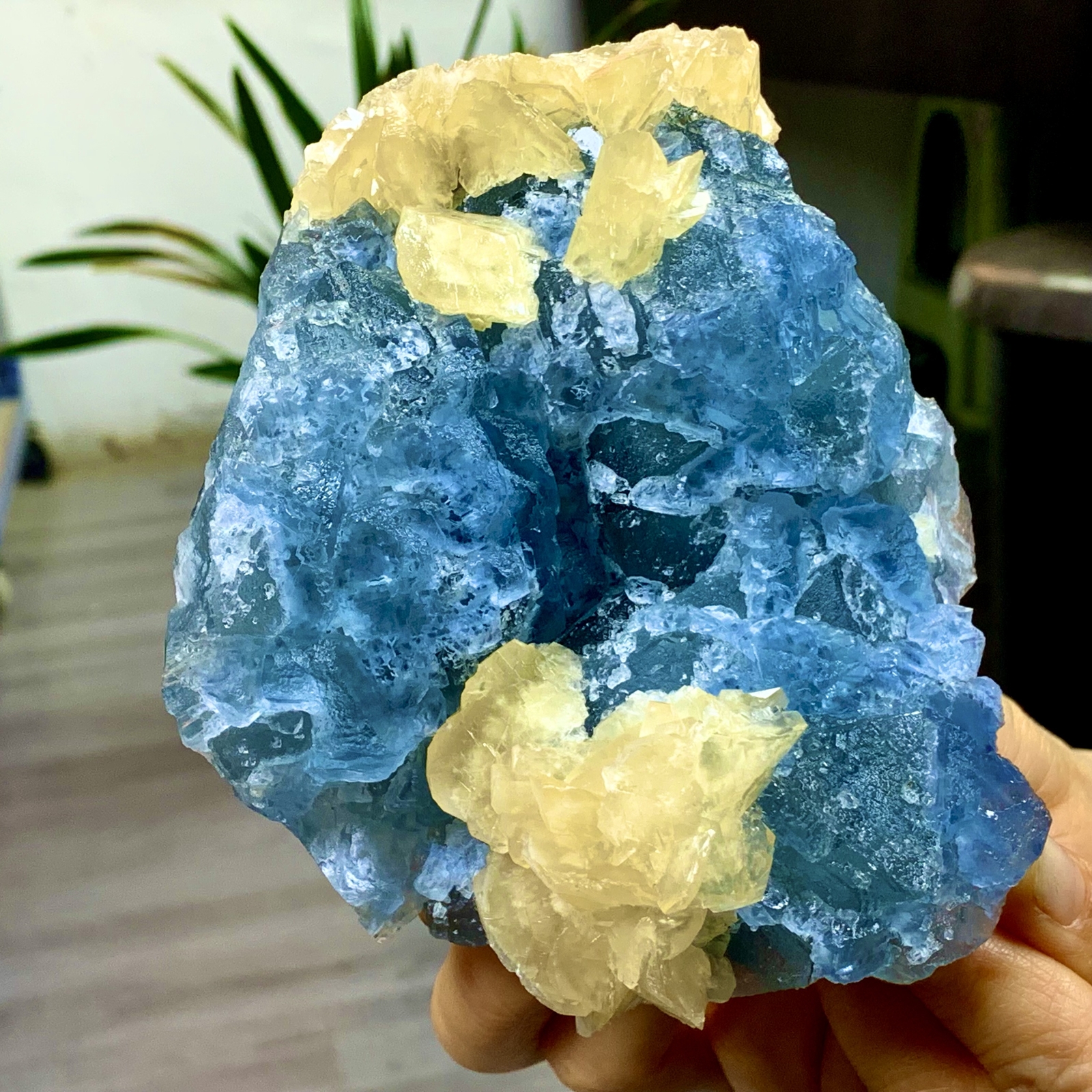 2.54LB Rare blue cubic fluorite +Yellow calcite mineral crystal sample/China