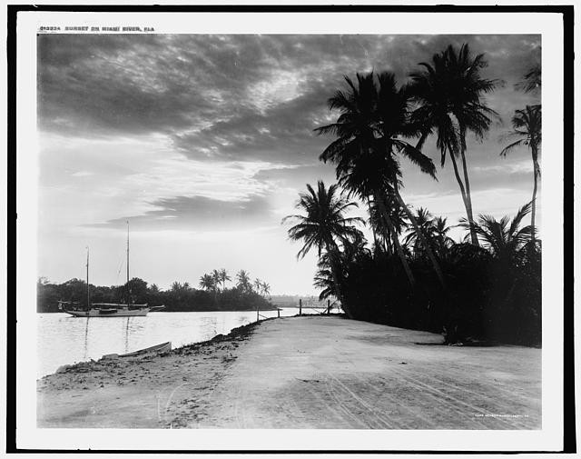 Photo:Miami River Florida Sunset 1900s Palm Trees Sailboats Riverbank