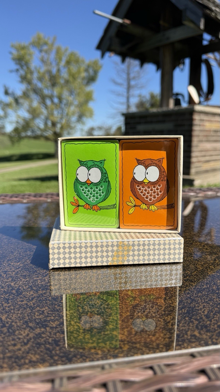 Vintage Owl Playing Cards Double Deck Retro MCM Original Box Still In Plastic