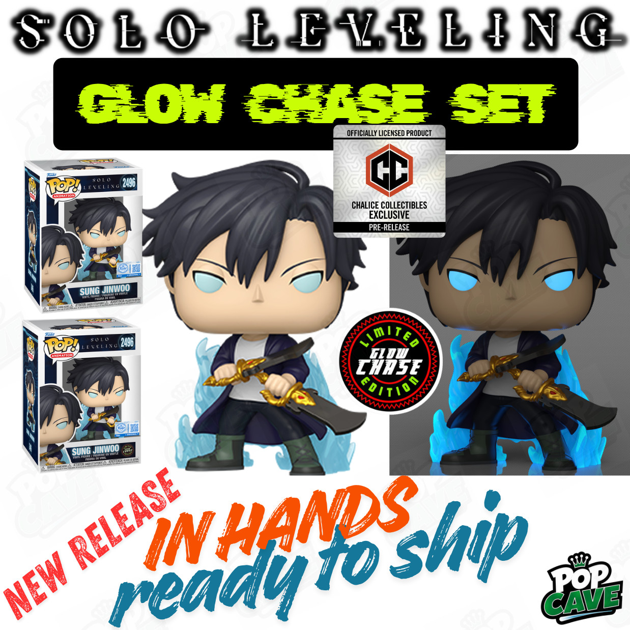 HORROR ANIME Funko Pop Cave SOLO LEVELING GLOW CHASE SET Sung Jinwoo CC PR