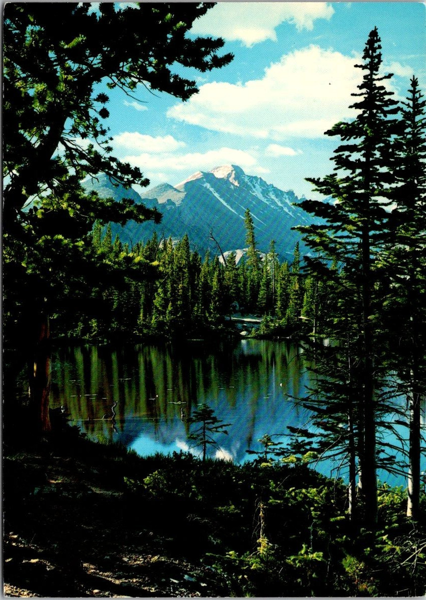 Nymph Lake Rocky Mountains Colorado c1980 Postcard