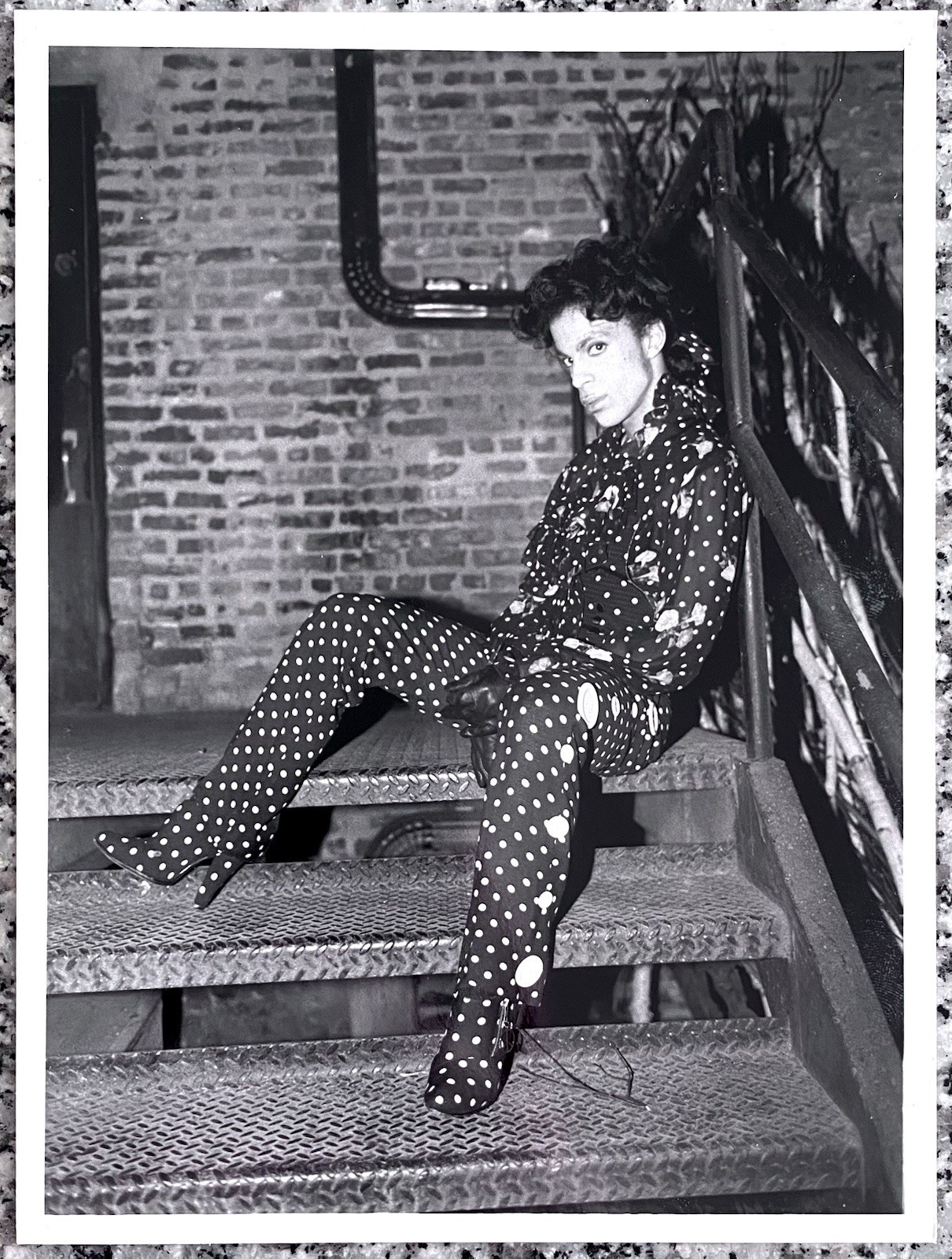1988 Prince 