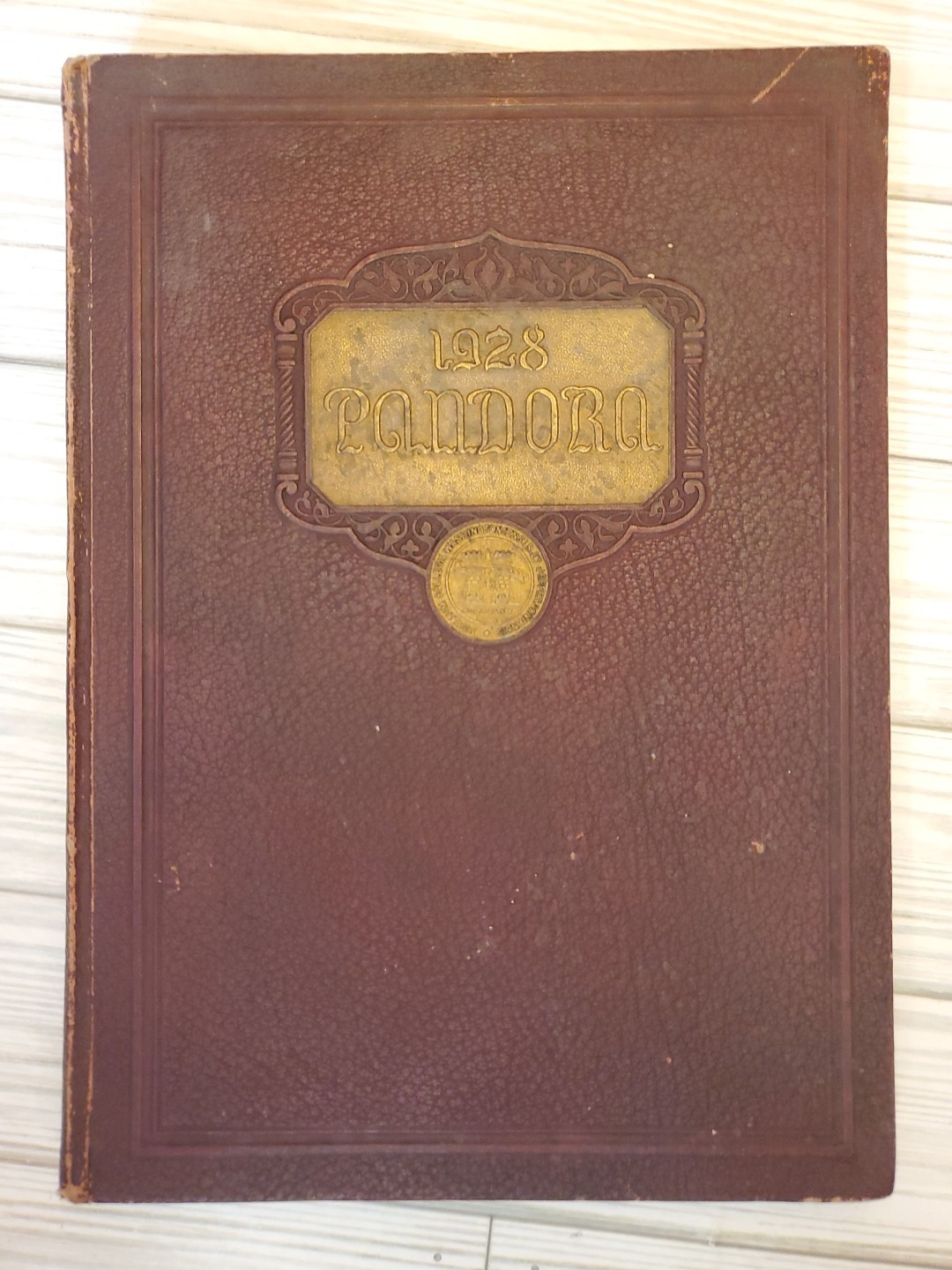 1928 Washington & Jefferson College Pandora Yearbook Great Photos Ads 220+ Pages
