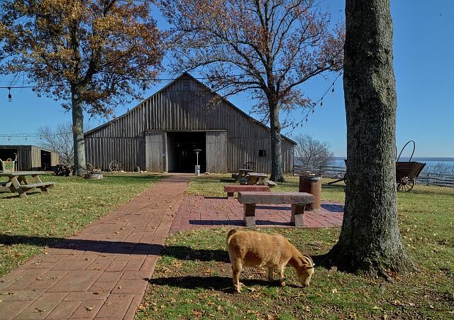 Photo:Oologah Oklahoma Will Rogers Birth Home Barn Goat 2020s