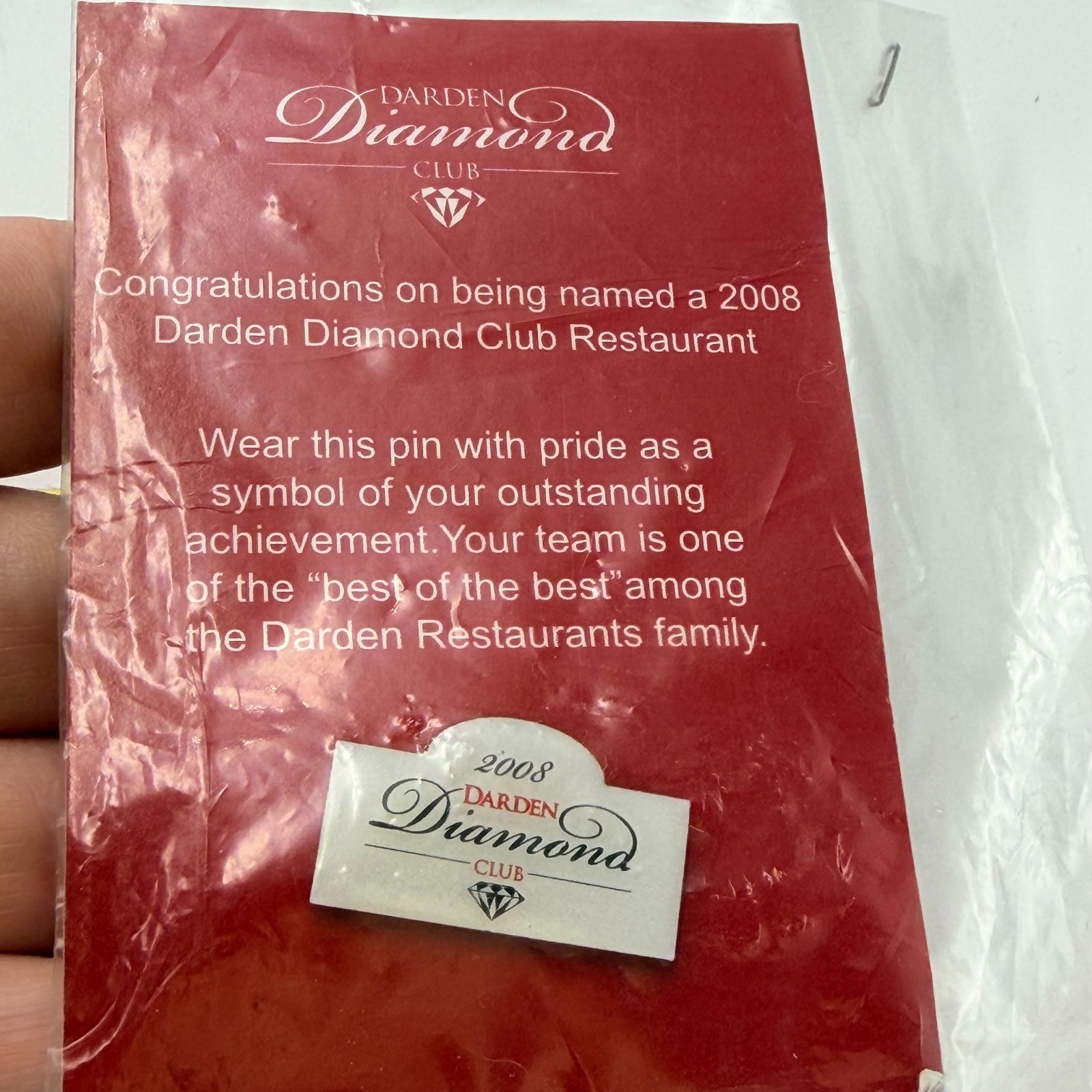 Darden Restaurants 2008 Diamond Club Award Tie Hat Lapel Pinback Pin