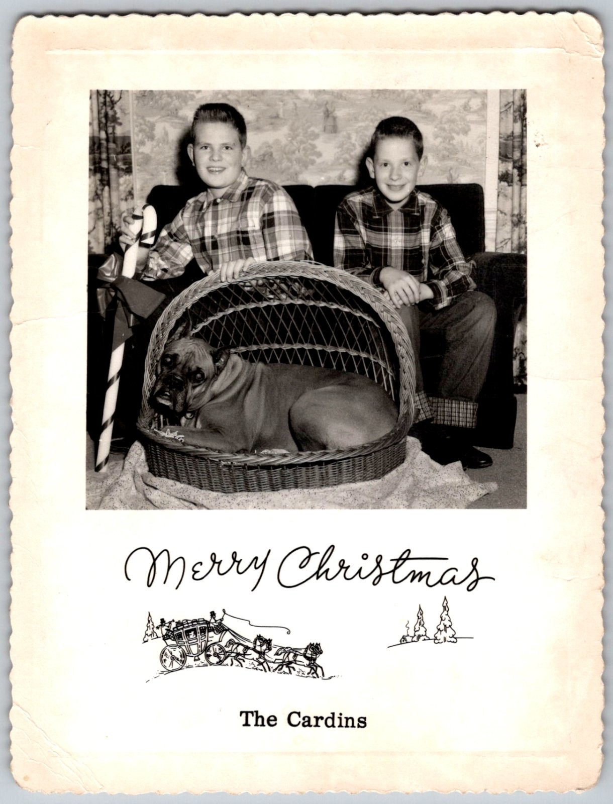 Vtg B&W Snapshot Boys Plaid Shirts Boxer Dog Basket Merry Christmas Card 1950s