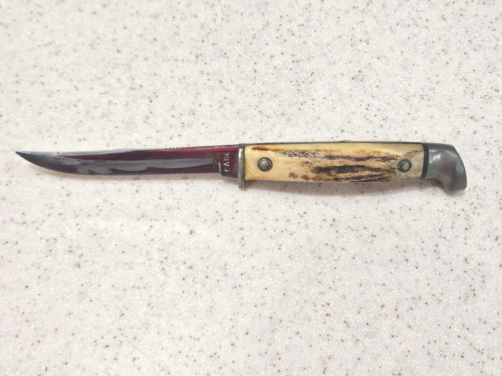 Vintage Case Fixed Blade Stag Small Bird Trout Knife 