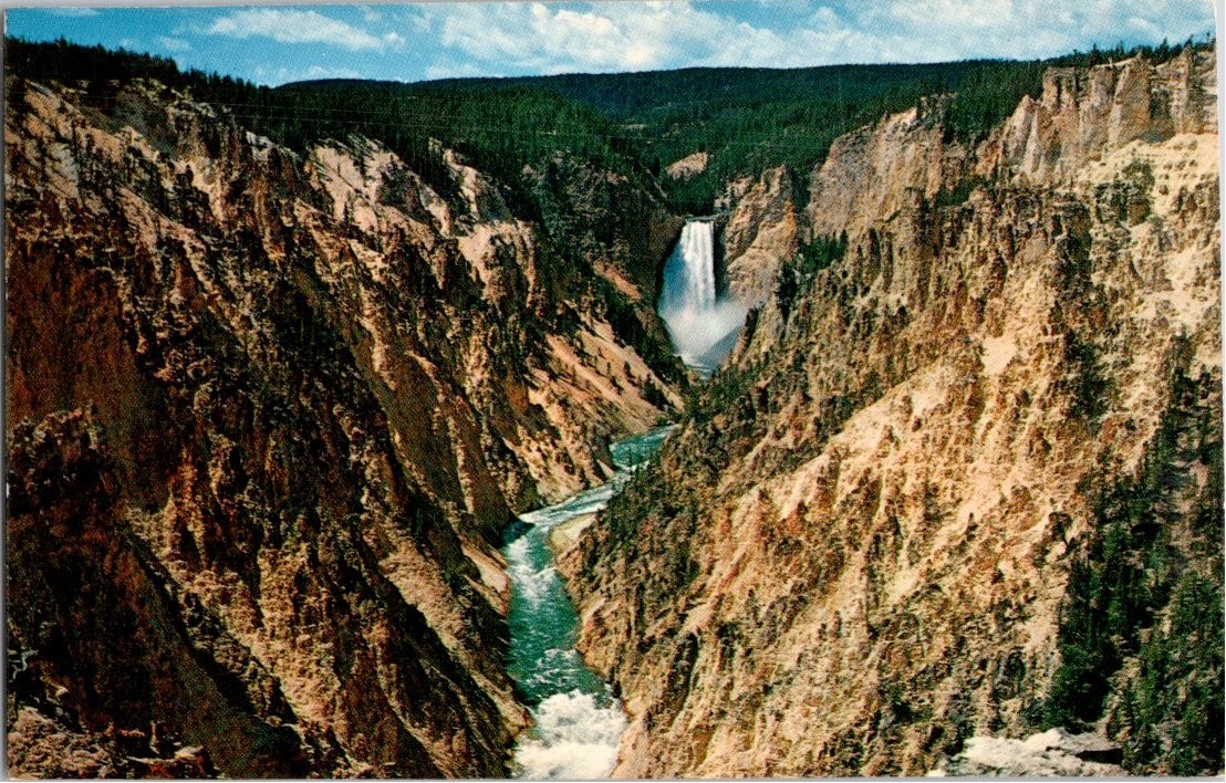 Yellowstone Canyon from Artist Point Vintage Postcard by Sturm Studio