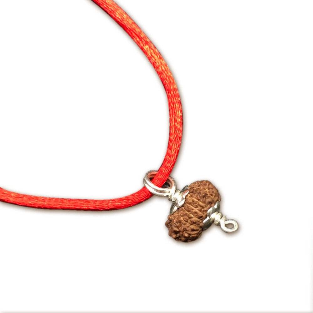 18 Mukhi Indonesian Java Rudraksha Medium 16mm-18mm Silver Pendant IGL Certified