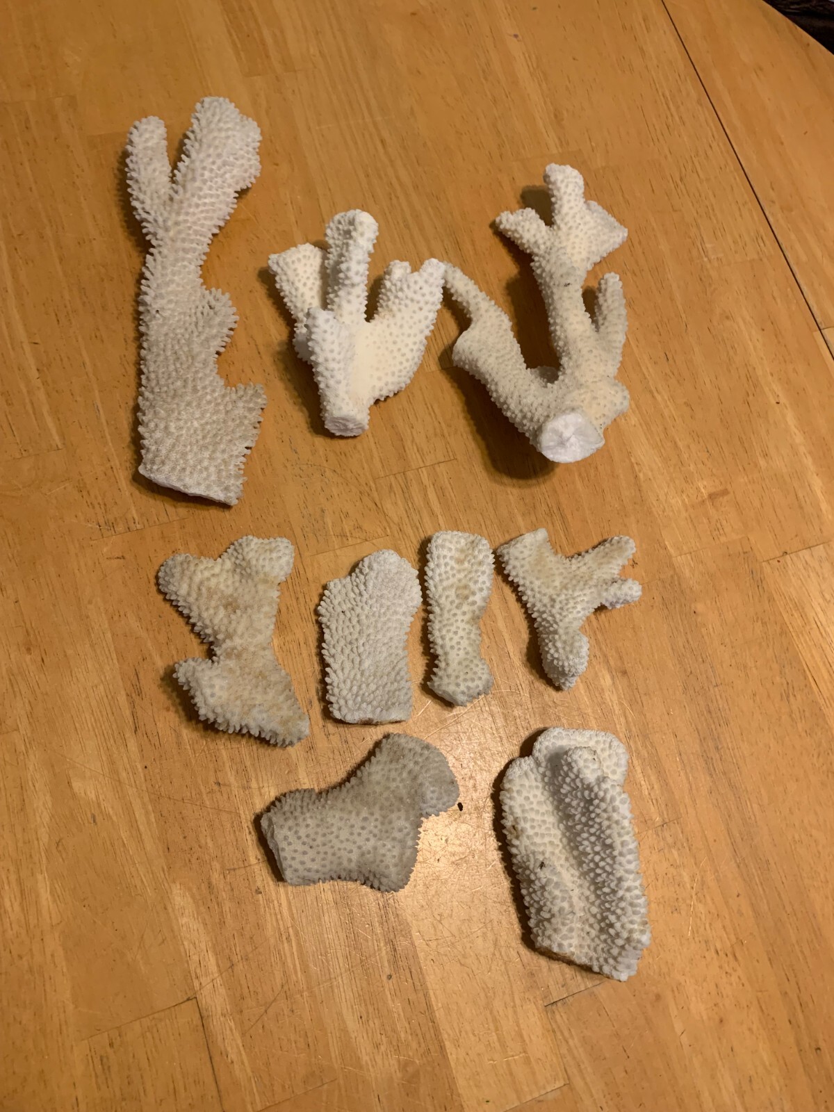 9 Pc. Natural White Sea Coral SMALL / MED.SIZE.