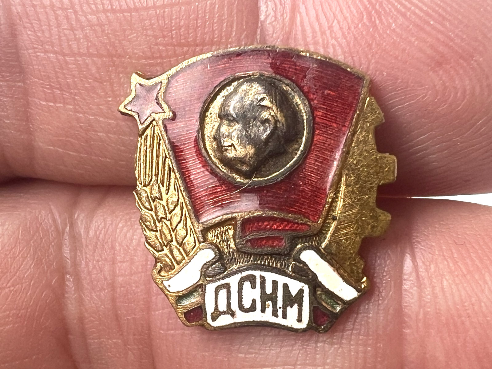 Vintage Bulgarian DSMN Badge Dimitrov Youth Communist Pin Screwback