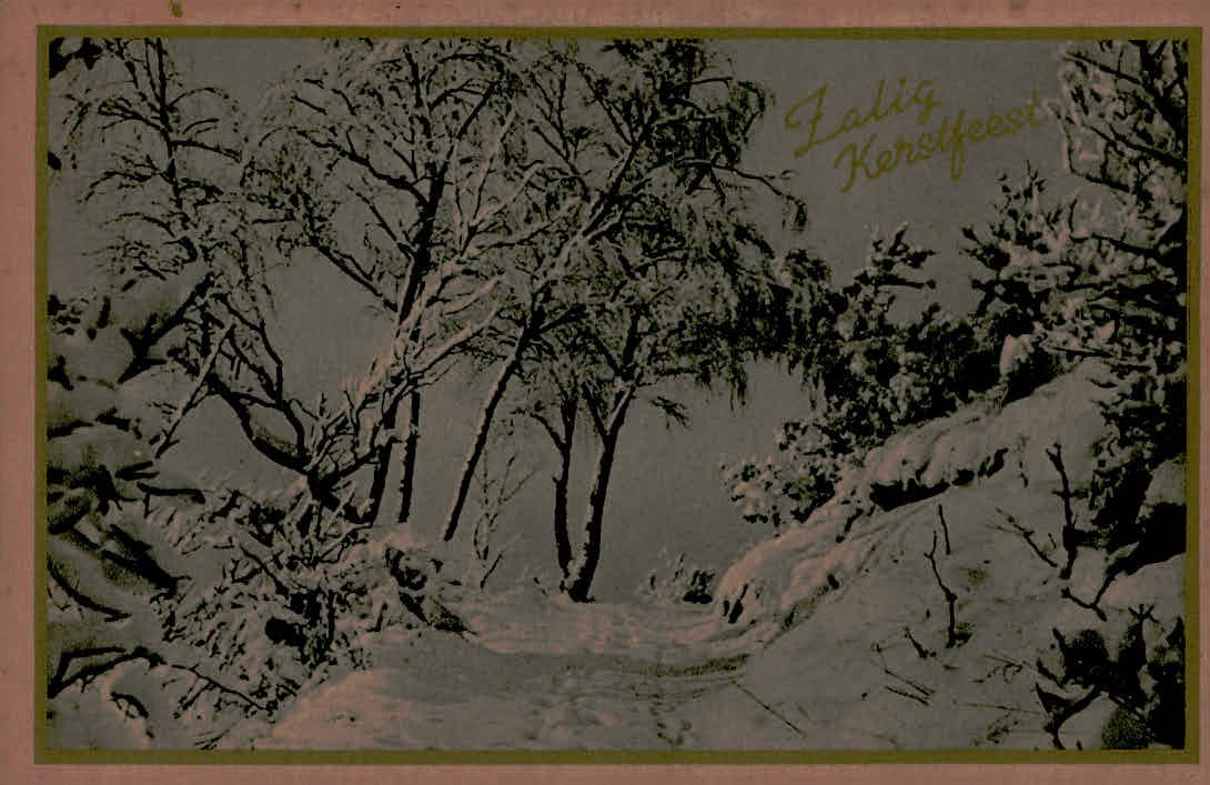 Vintage Dutch Christmas Postcard Zalig Kerstfeest Winter Snow Scene