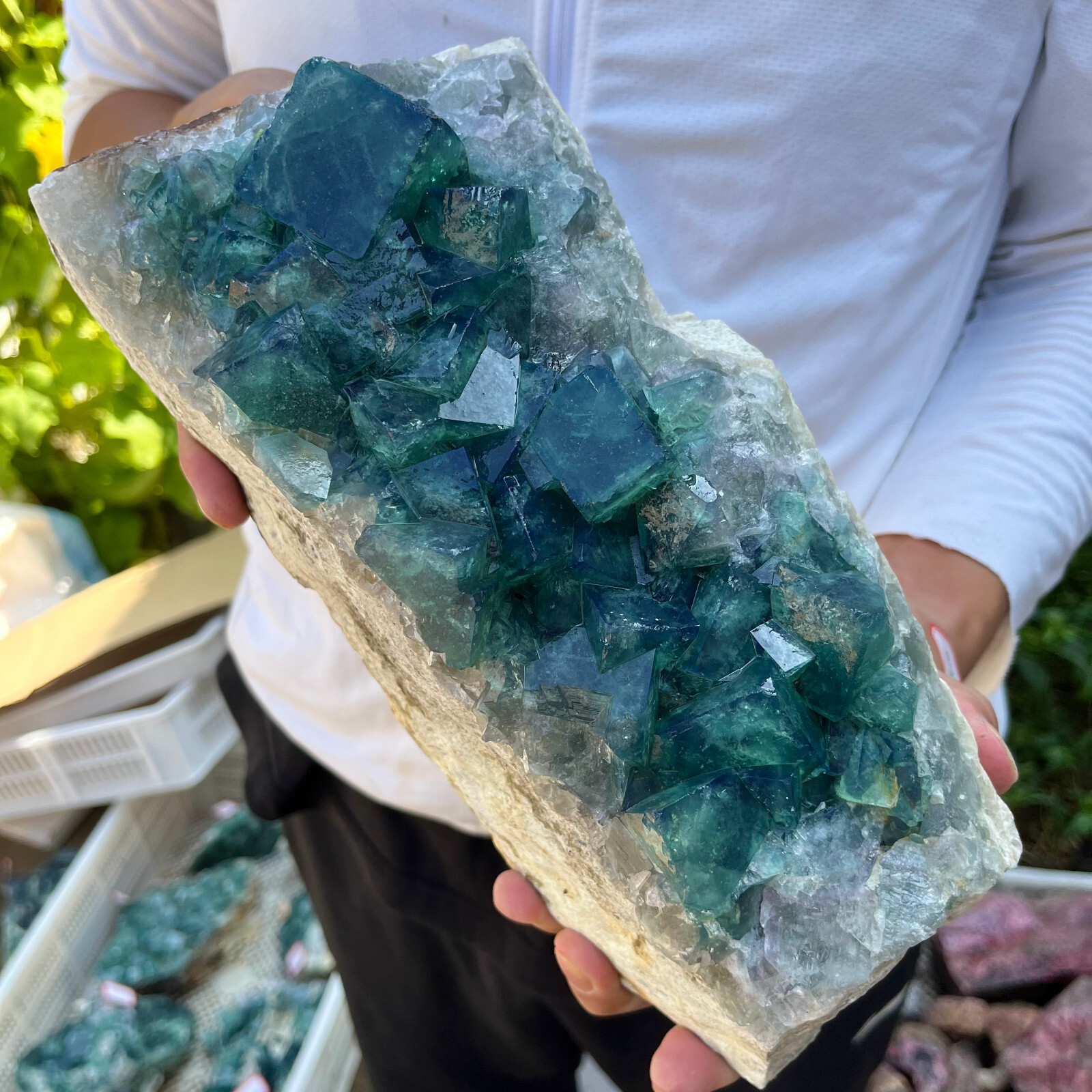 12.1lb NATURAL Green Cube FLUORITE Quartz Crystal Cluster Mineral Specimen heali