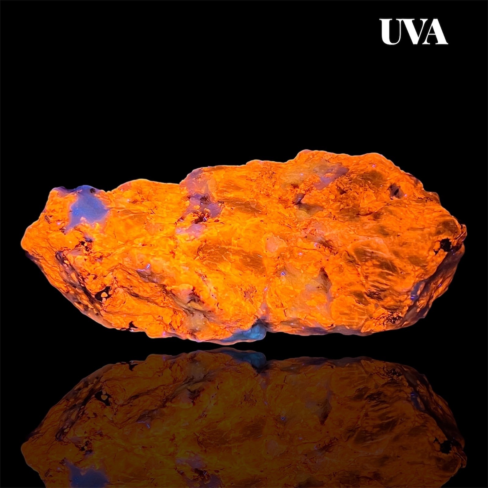 81 Gram Top Fluorescent Bi-Color Sodalite Crystal From Badakhshan, Afghanistan