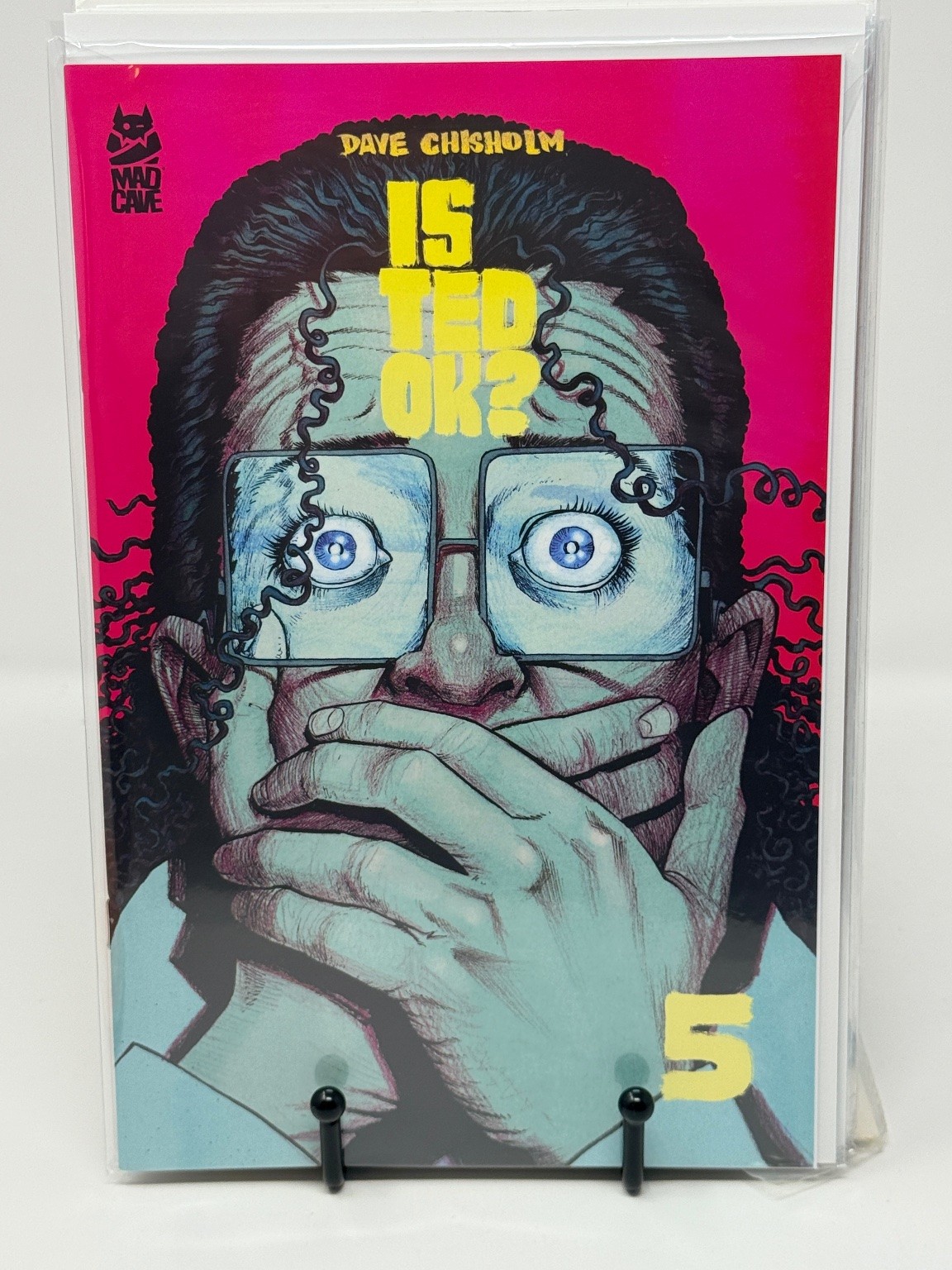 Is Ted OK? #5 Mad Cave Studios Dave Chisholm Modern Age