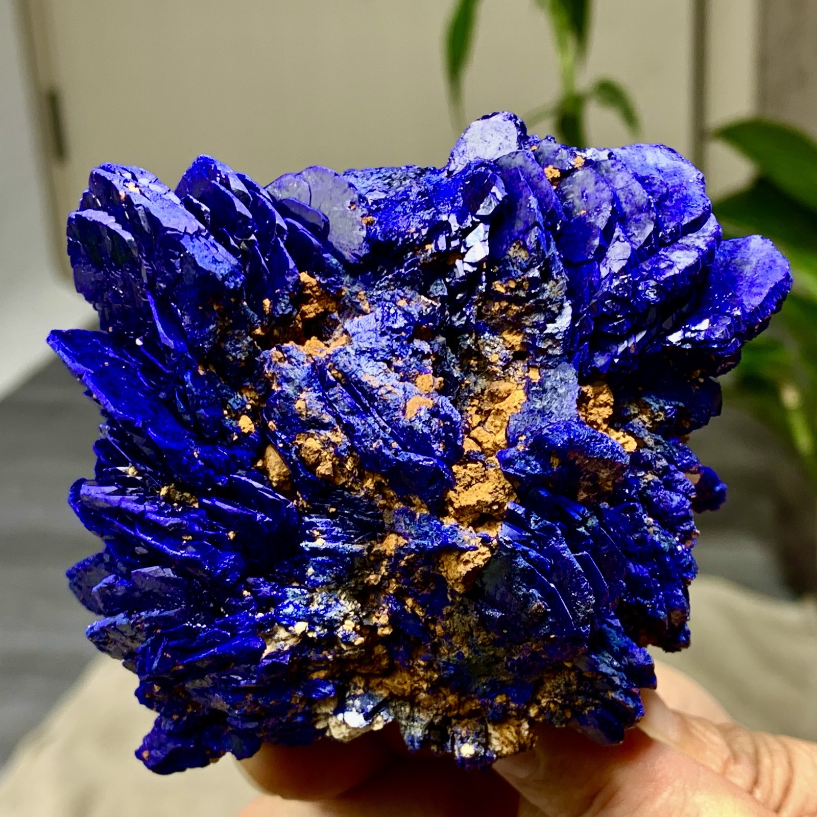 1.33LB BEST NATURAL Azurite/Malachite crystal minerals specimens-/