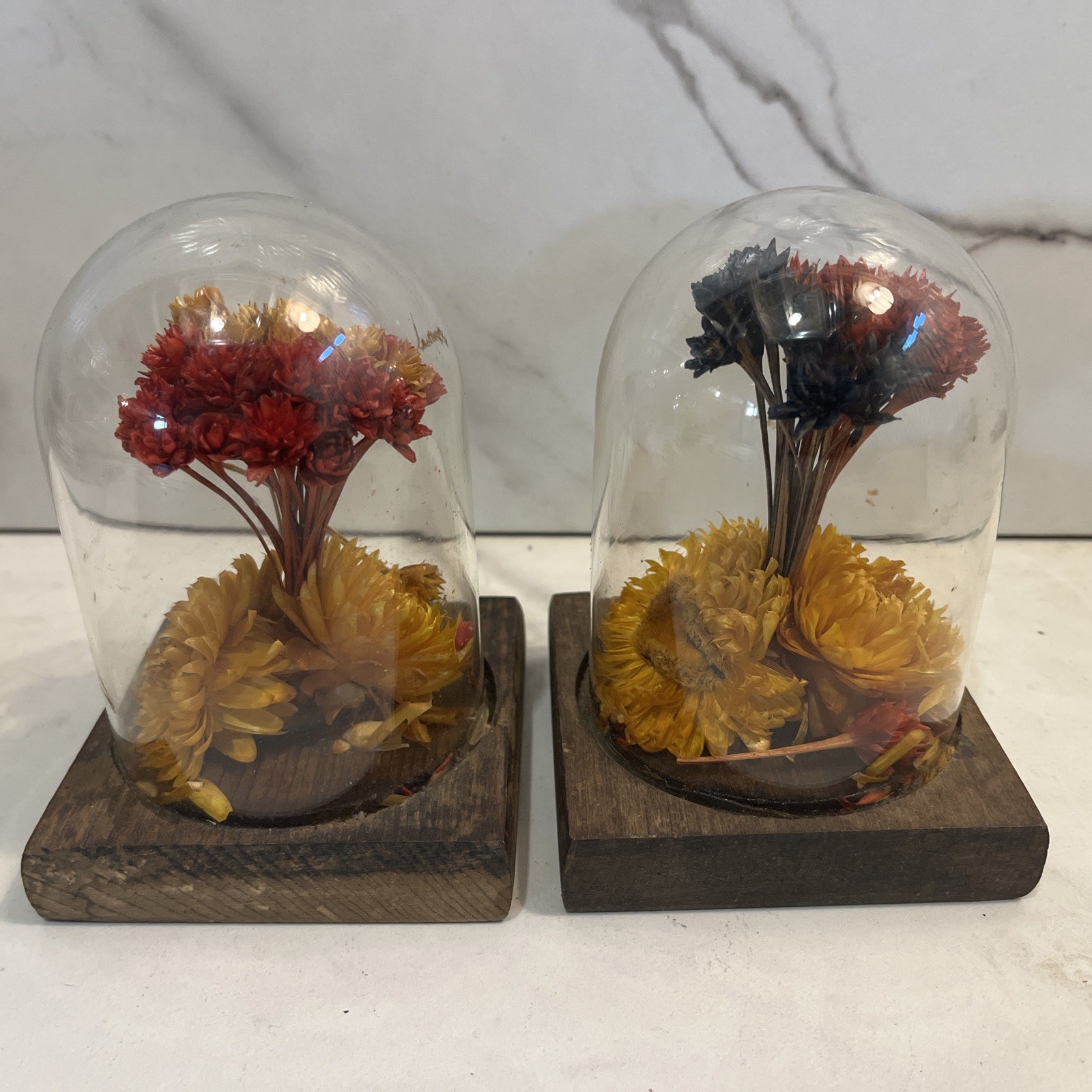large vintage cloche glass dome with base And Flowers Set Of Two