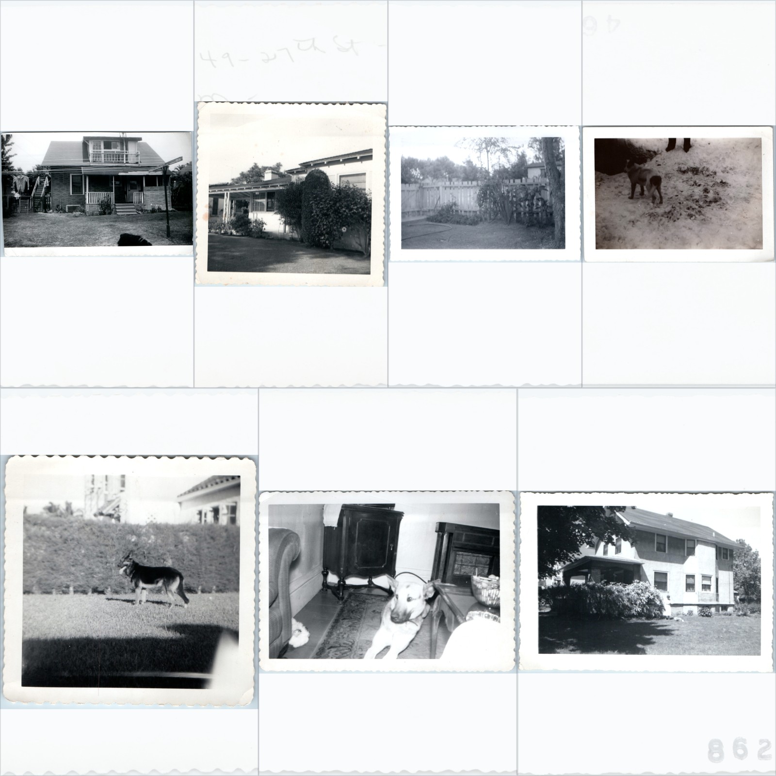 x7 LOT c1940s Santa Monica, CA Houses German Shepherd Dog Snapshot Photos Yard