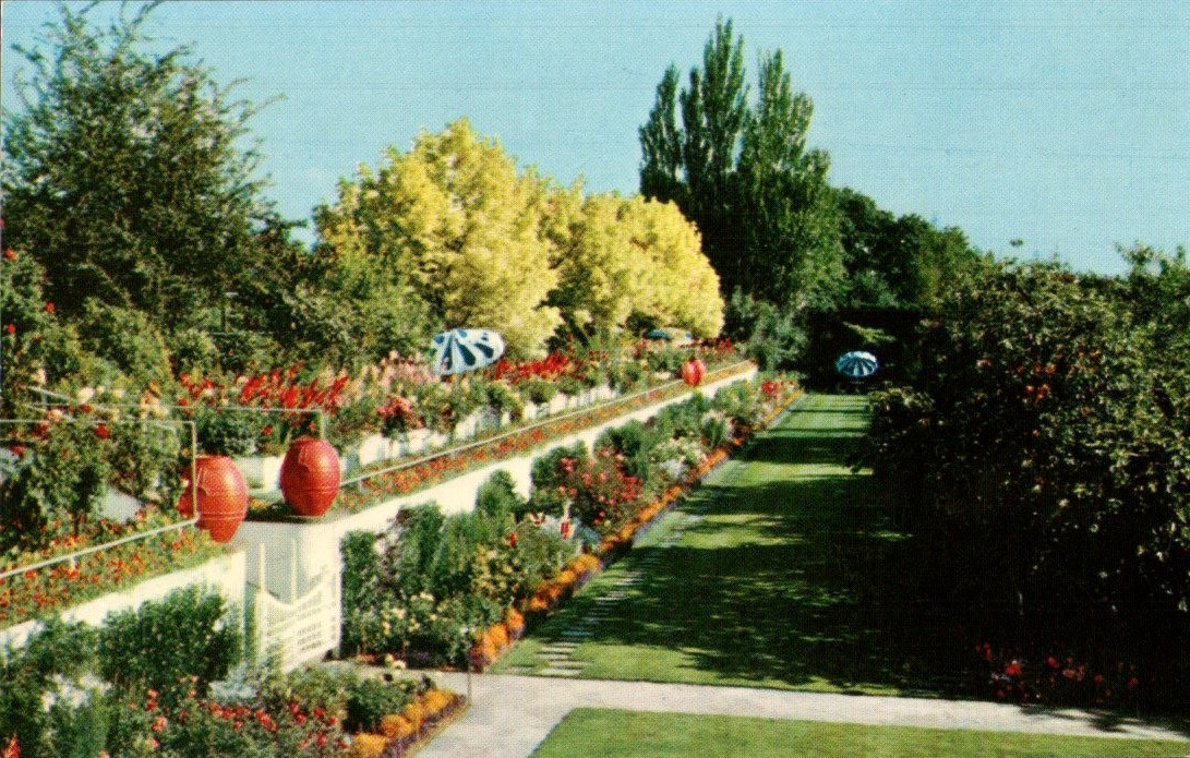 Lambert Gardens Portland Oregon Canyon Garden c1950s Postcard