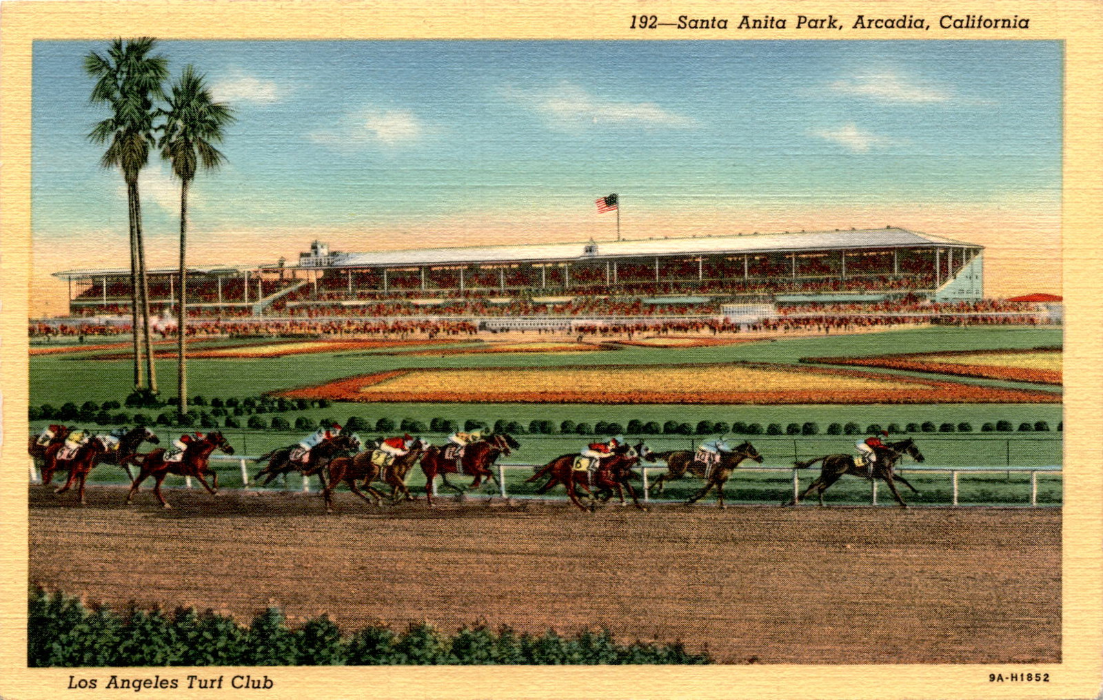 Santa Anita Park, Arcadia, California, Los Angeles Turf Club, Lucky Postcard