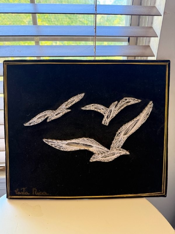 Vtg Costa Rica String Art Seagulls Framed By Gloria-Umsatz Austria Mid Century
