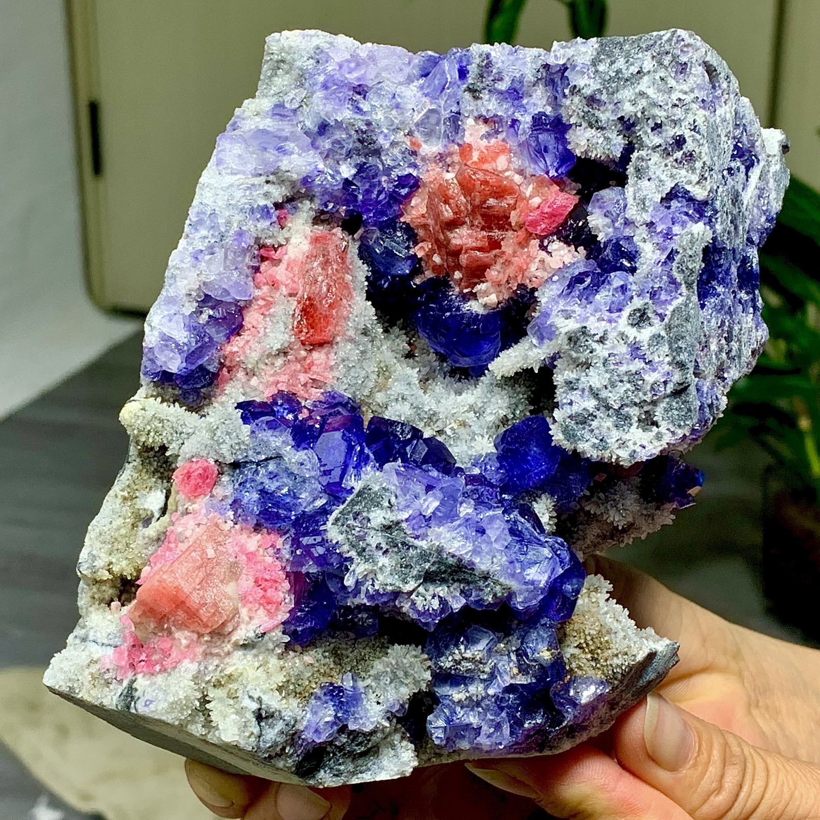 2.58LB Natural rhodochrosite with purple fluorite crystal mineral specimen
