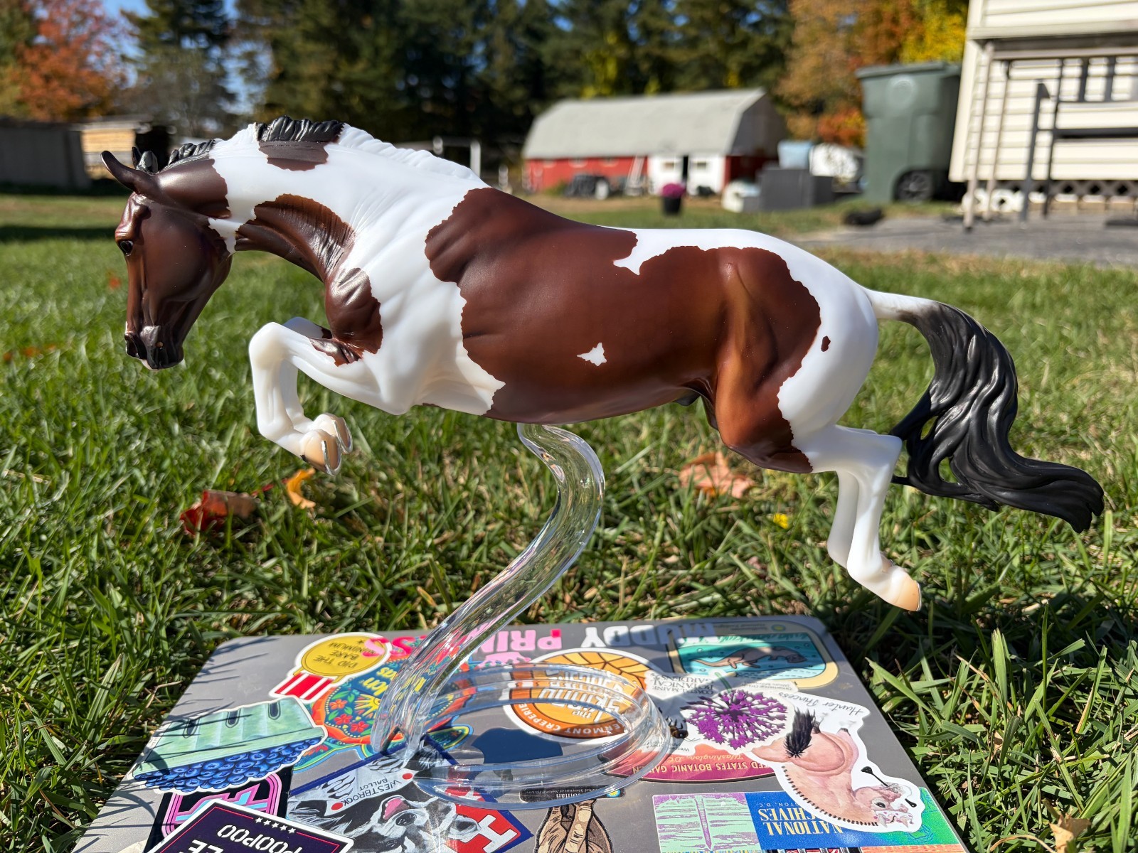 Breyerfest 2025 Hooplah Matte version 1/2250