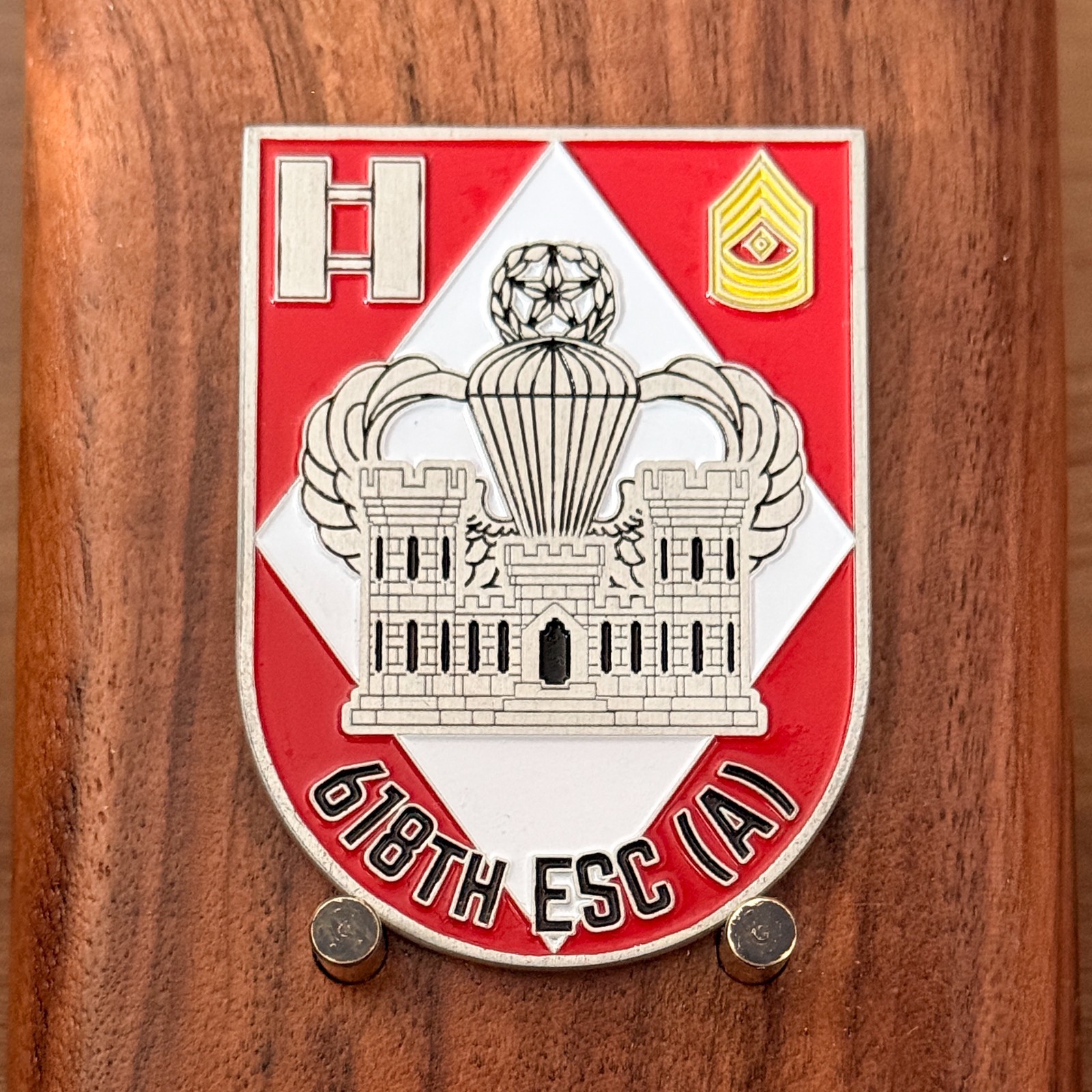 618TH ESC (A) Stay Nasty Airborne Engineer Military Challenge Coin  W#22