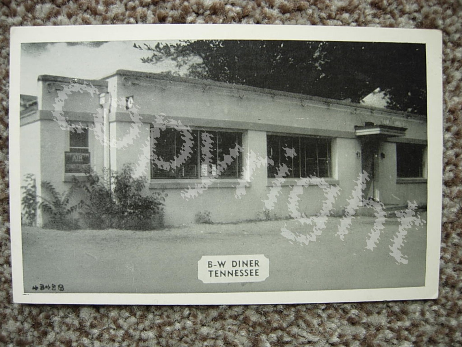 LAWRENCEBURG TN-B-W DINER-ROADSIDE RESTAURANT-ROUTE 64-TENNESSEE-LAWRENCE COUNTY