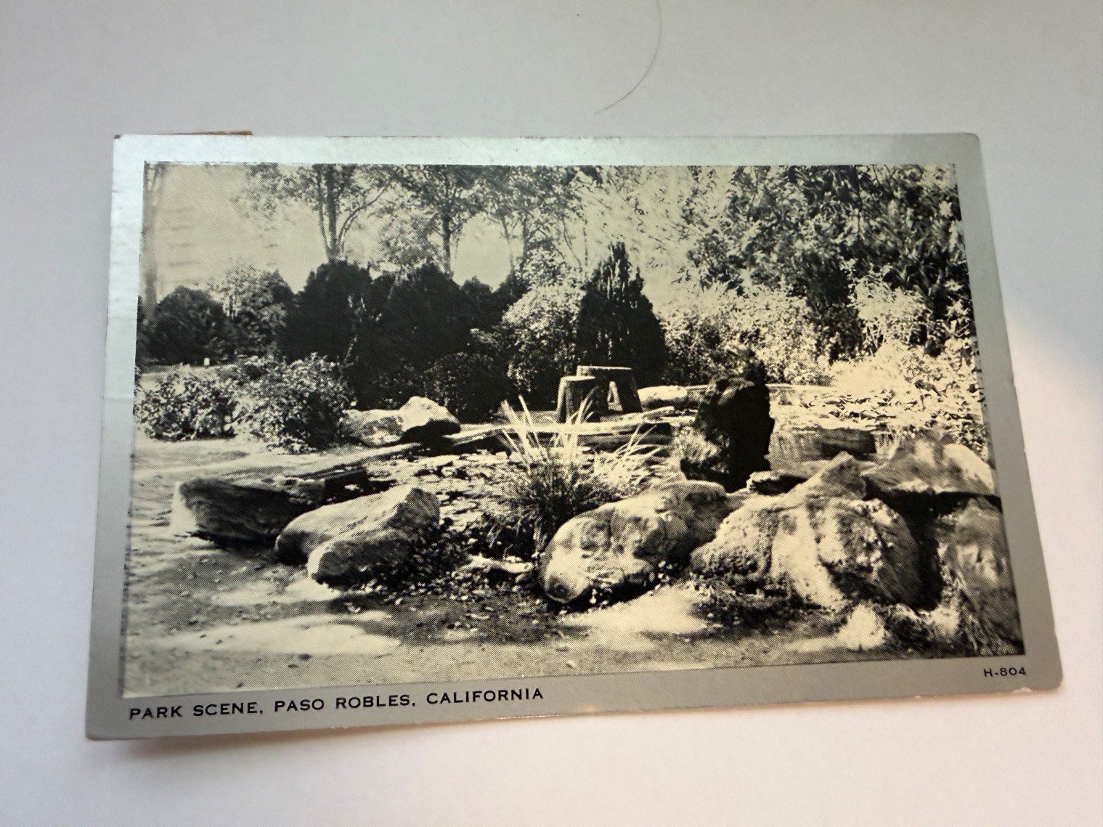 Park Scene Paso Robles CA Postcard Posted 1945
