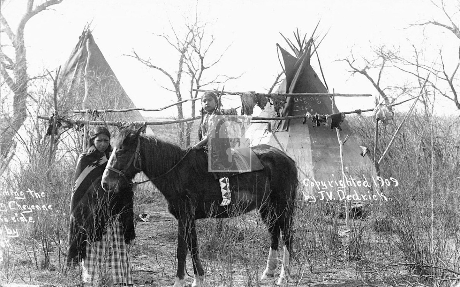 Cheyenne Indian Family & Horse Taloga Oklahoma OK - Reprint