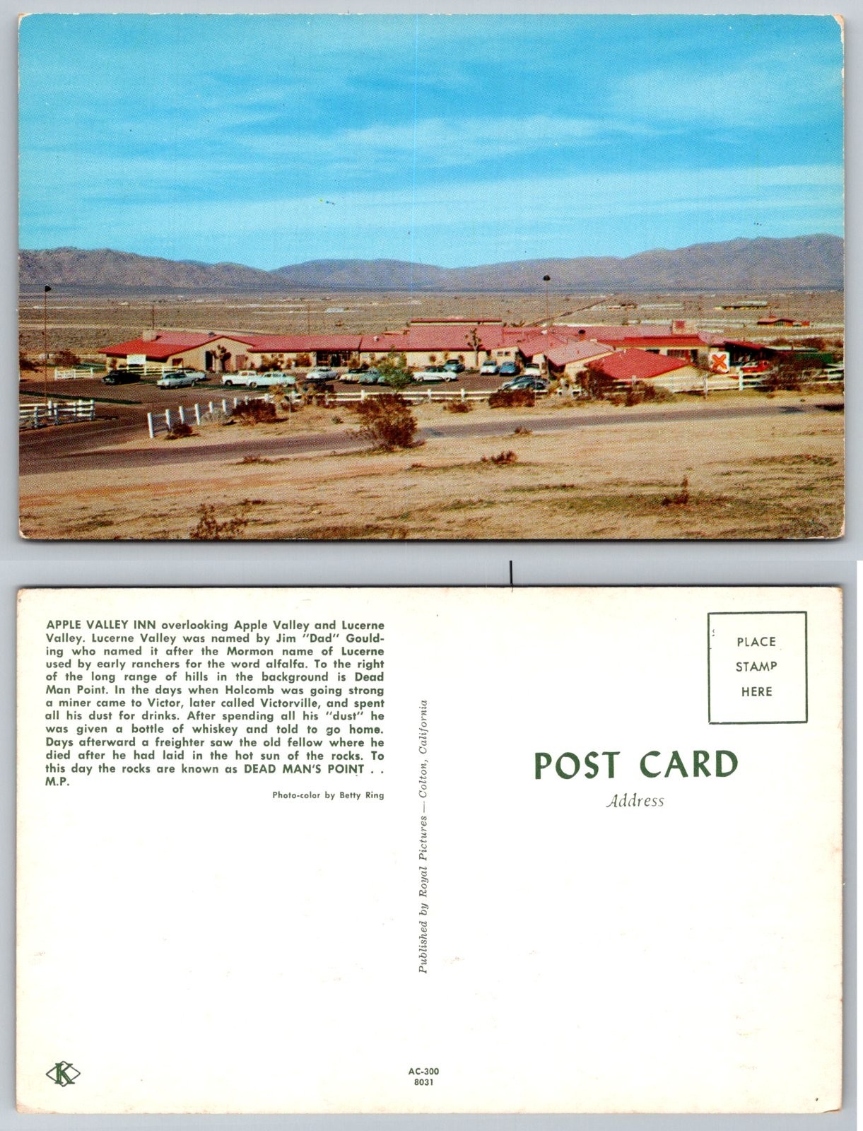 Standard Apple Valley Inn Apple Valley California Postcard