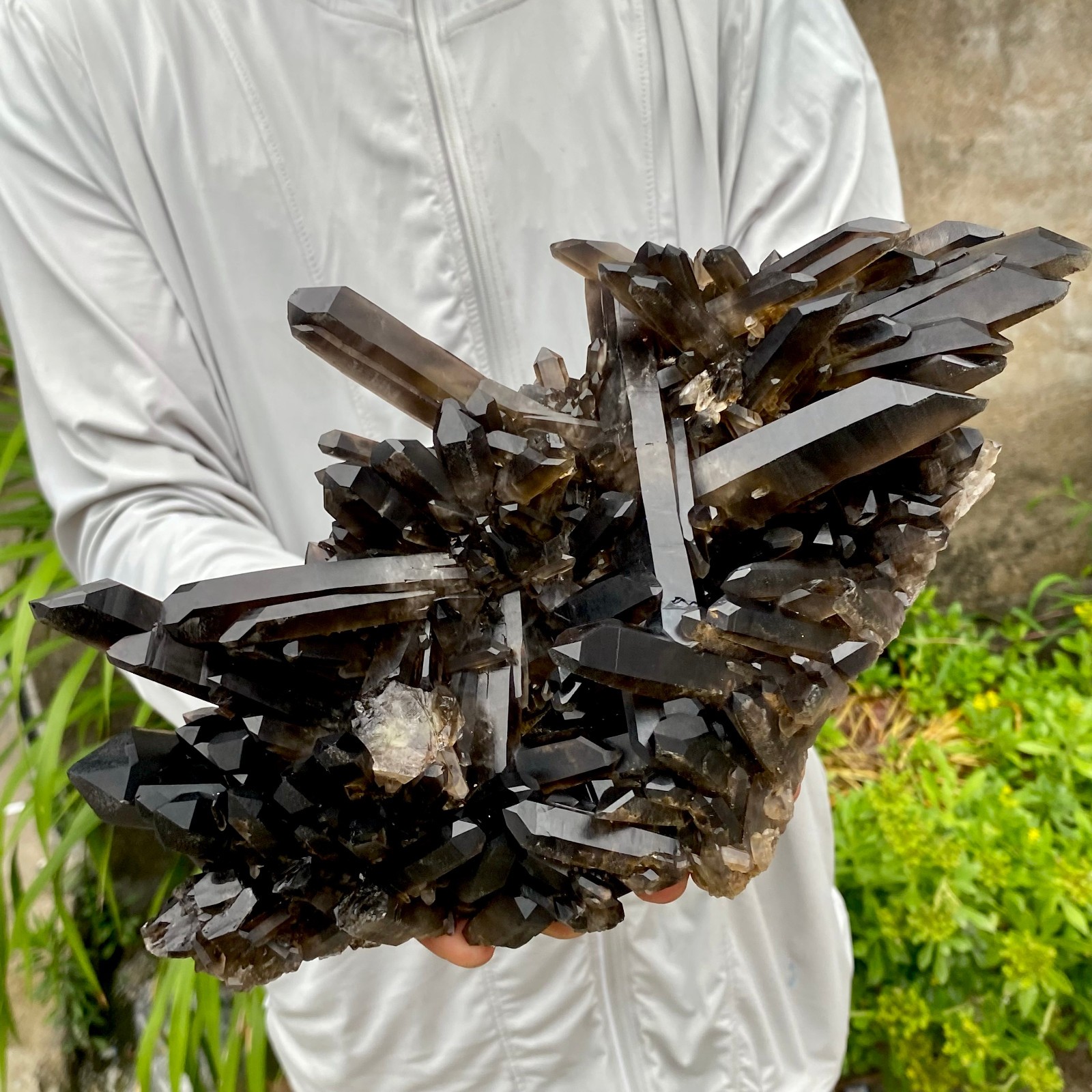 4.29LB Natural smoky black quartz cluster crystal mineral specimen healing