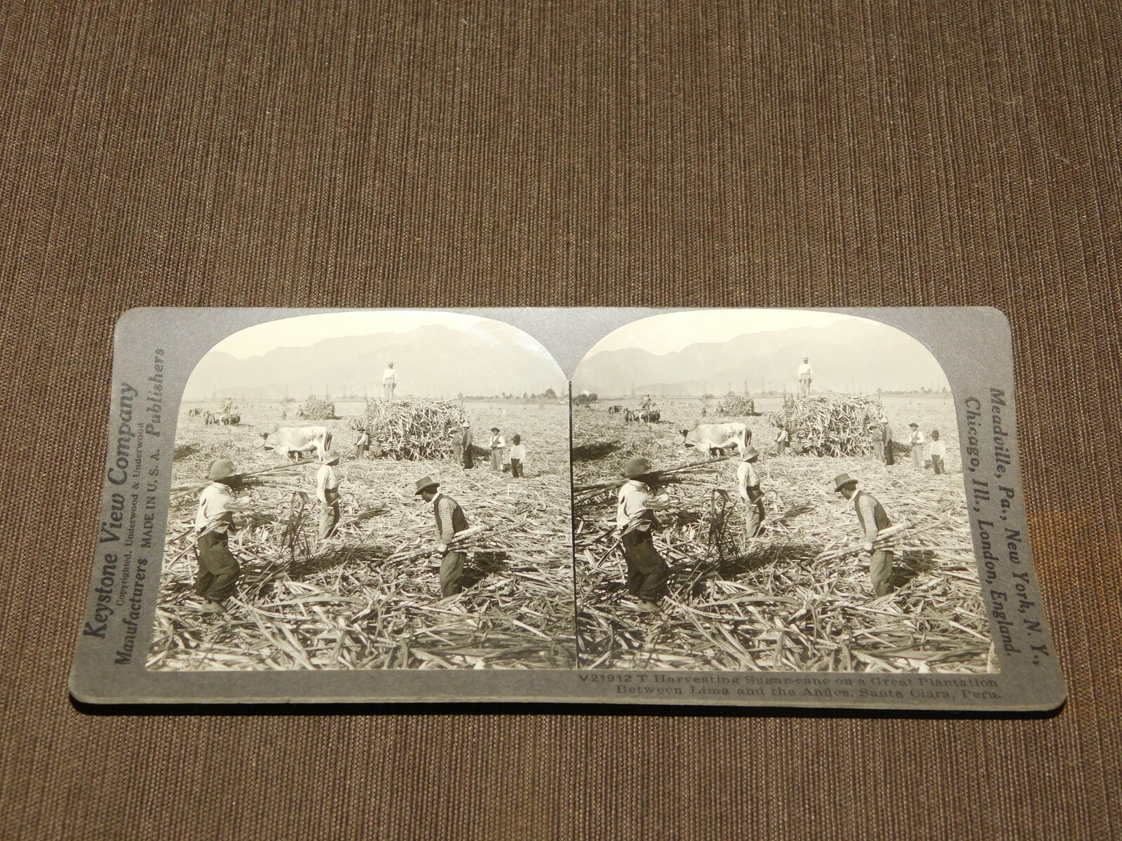 VINTAGE STEREOVIEW STEREOSCOPE CARD SUGAR CANE LIMA ANDES SANTA CLARA PERU