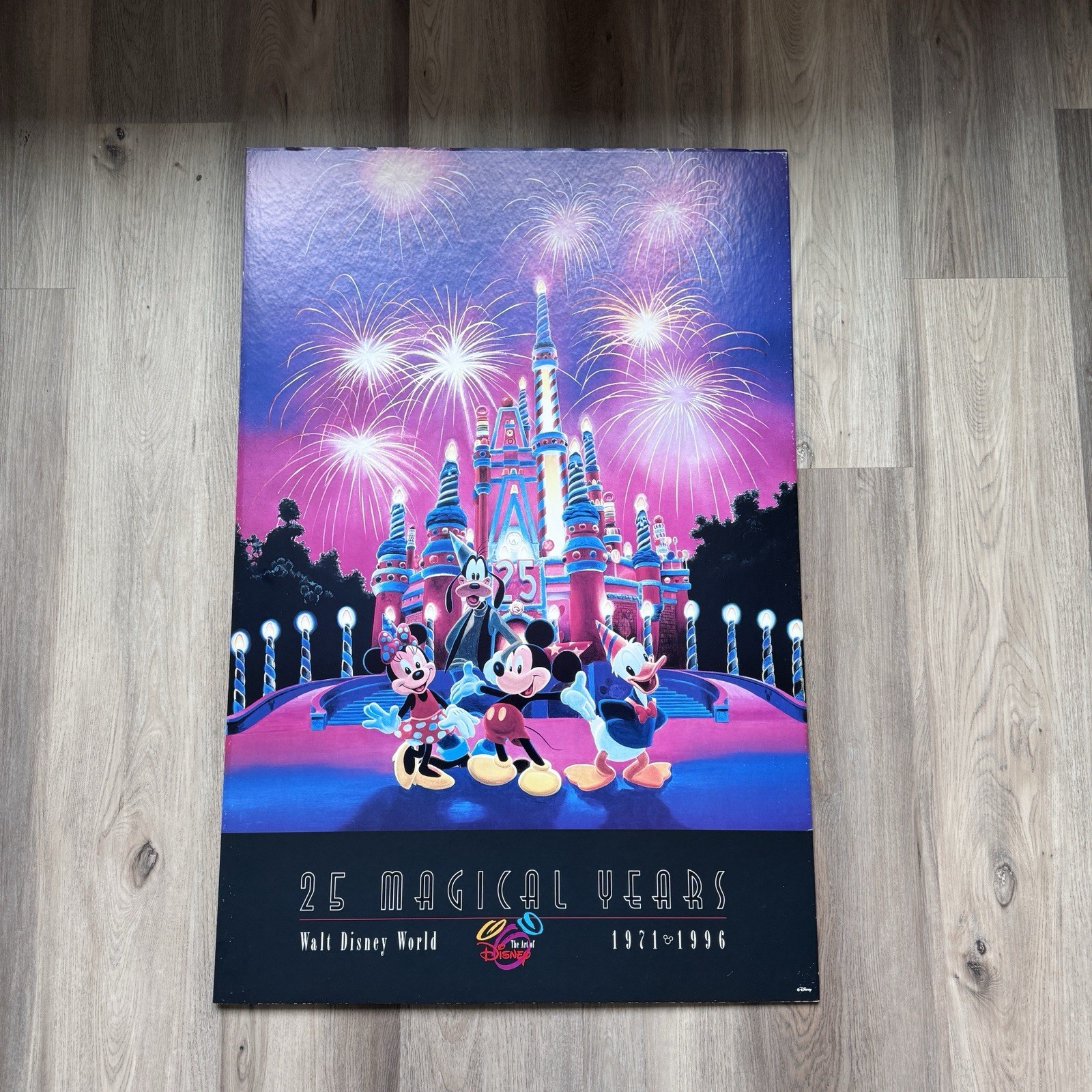 25 Magical Years Walt Disney World 1971-1996 The Art of Disney Print - signed