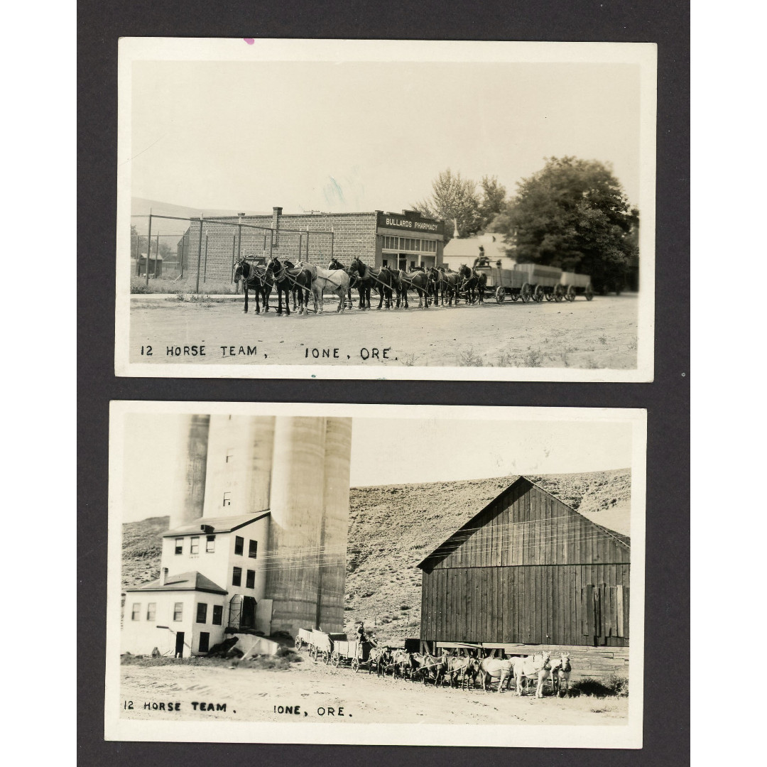 (2) Early RPPC Ione Oregon 12 Horse Team Bullards Pharmacy Vintage Postcards