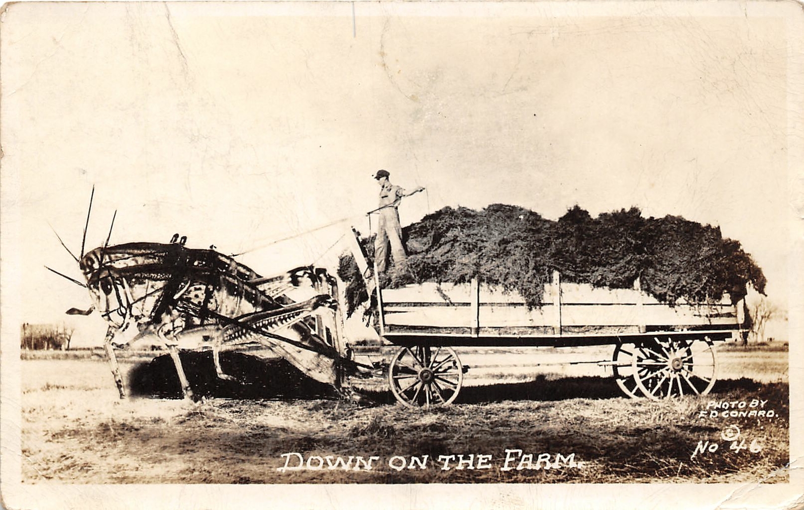 J7/ Lincoln Nebraska RPPC Postcard c40s Exaggeration Grasshopper Wagon80