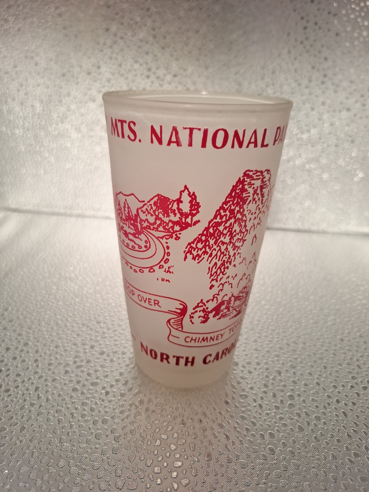 Great Smokey National Park Tumbler