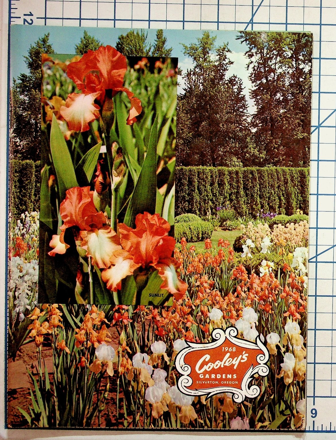 1968 Cooley\'s Gardens Iris Catalog Silverton Oregon Vintage Horticultural